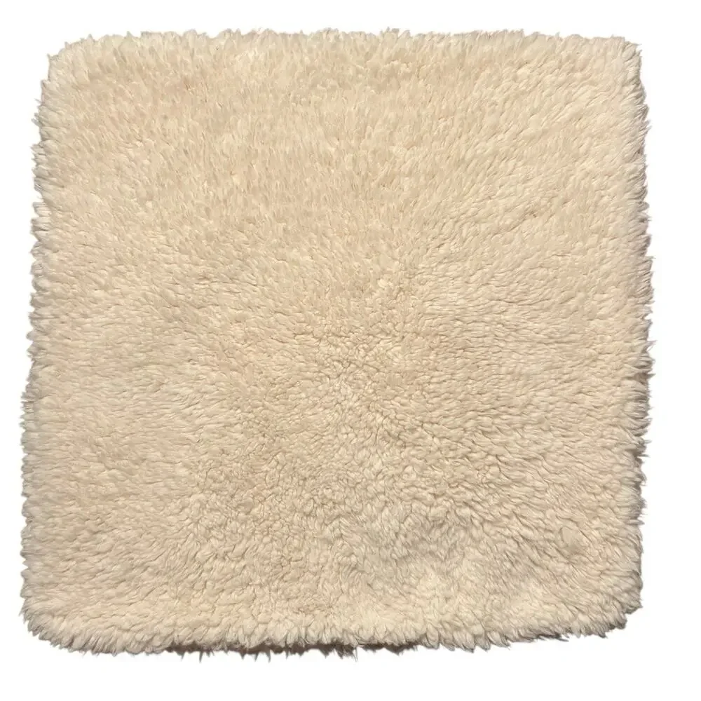 Pottery Barn Square Sham 18